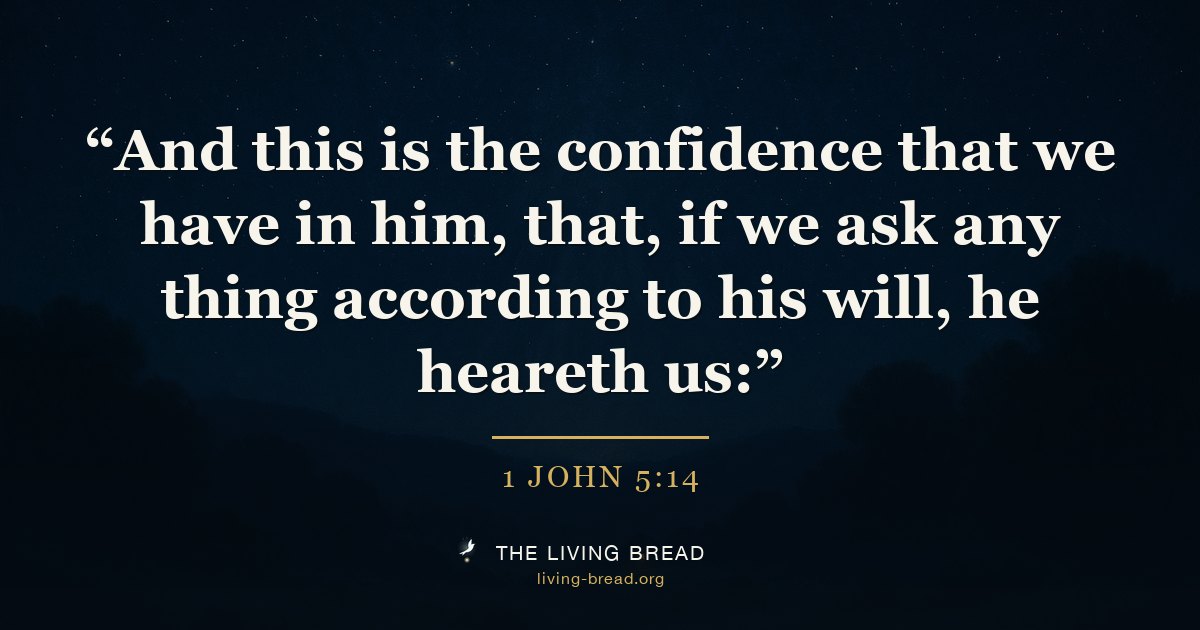 1 John 5:14