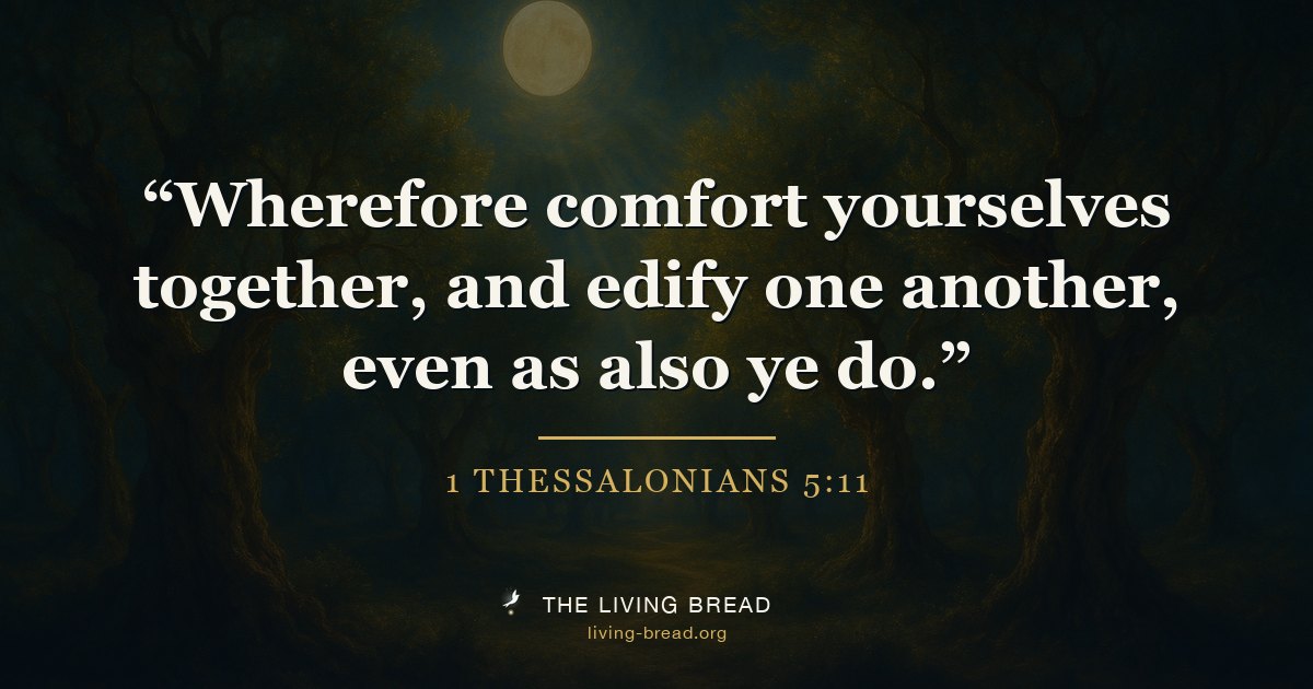 1 Thessalonians 5:11