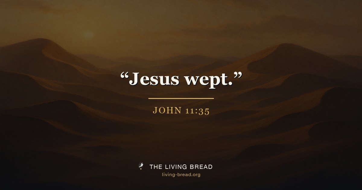 John 11:35