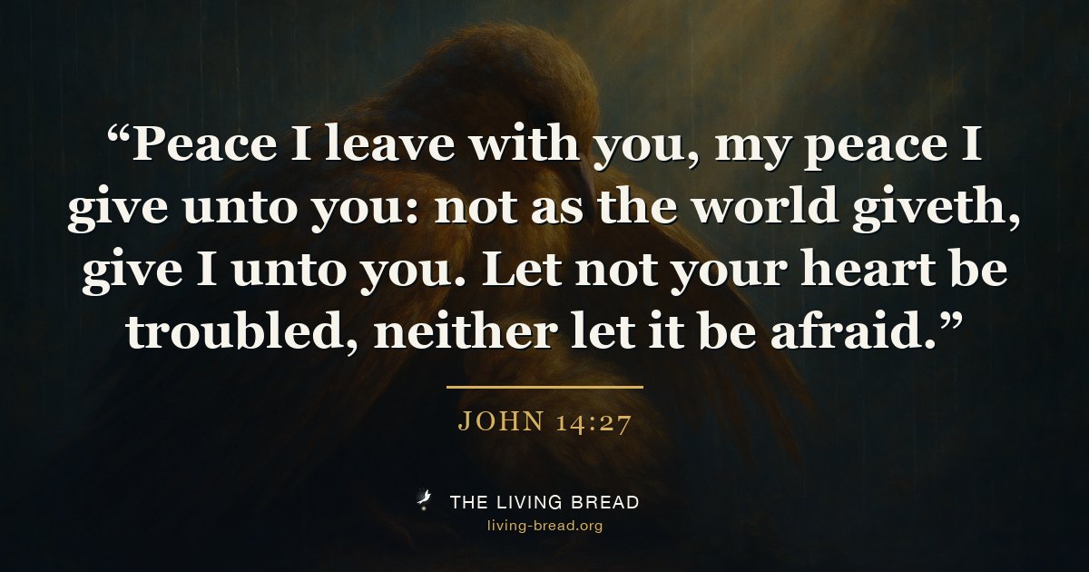 John 14:27