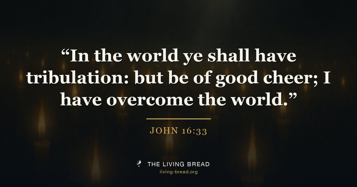 John 16:33