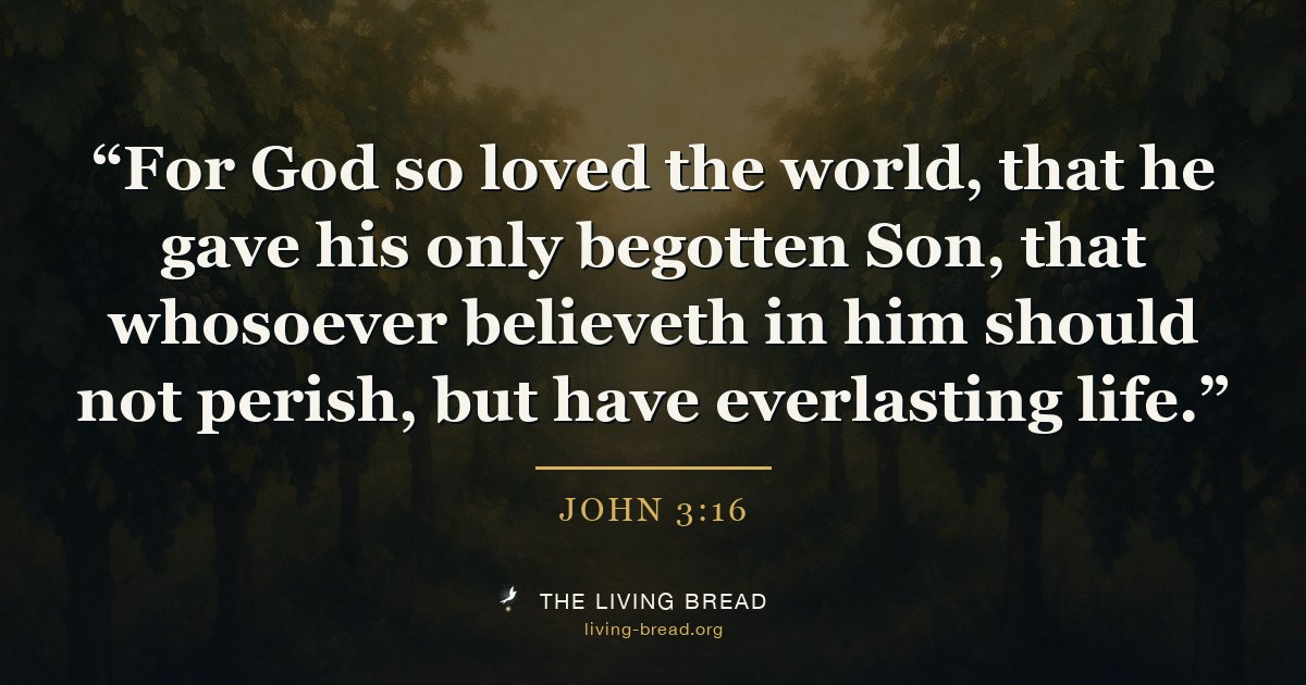 John 3:16