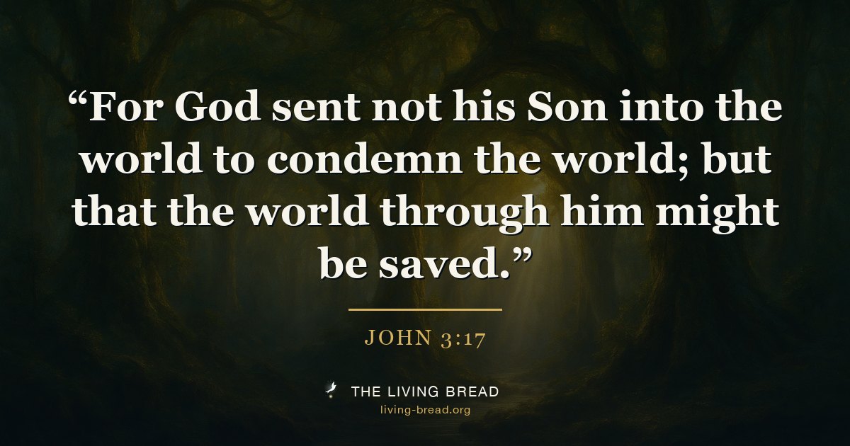 John 3:17