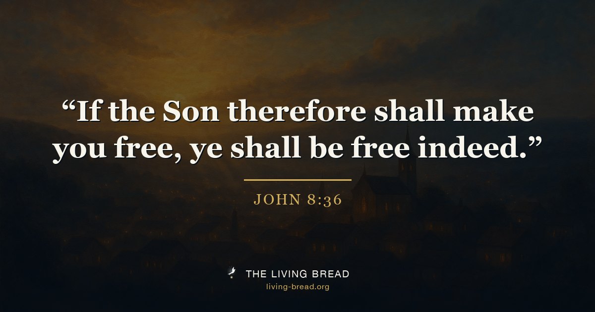 John 8:36