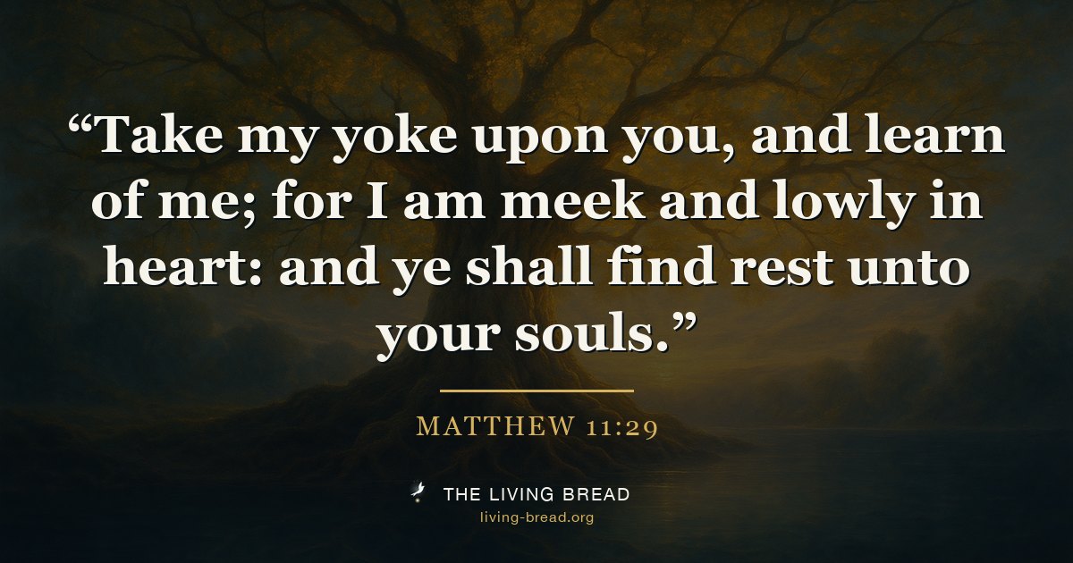 Matthew 11:29