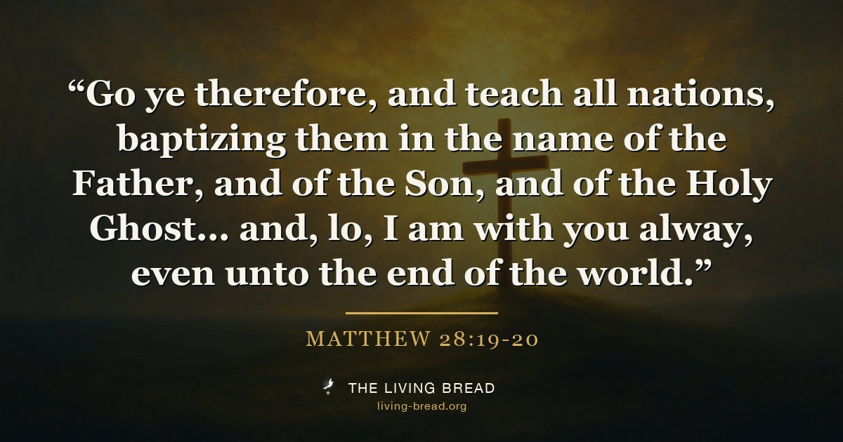 Matthew 28:19-20