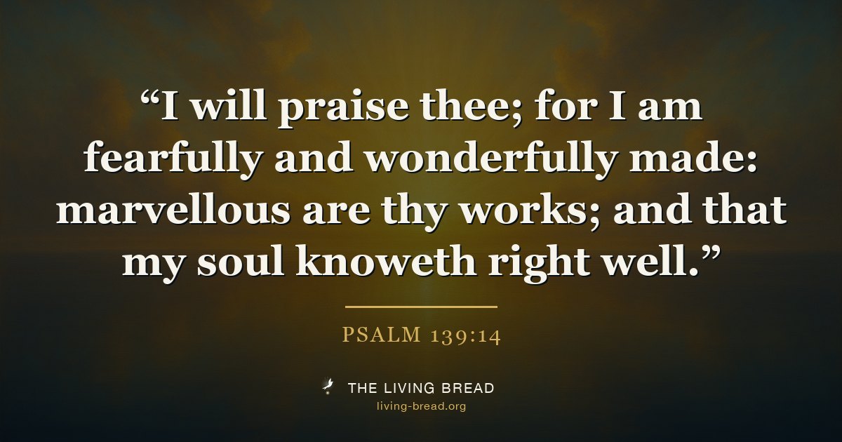 Psalm 139:14