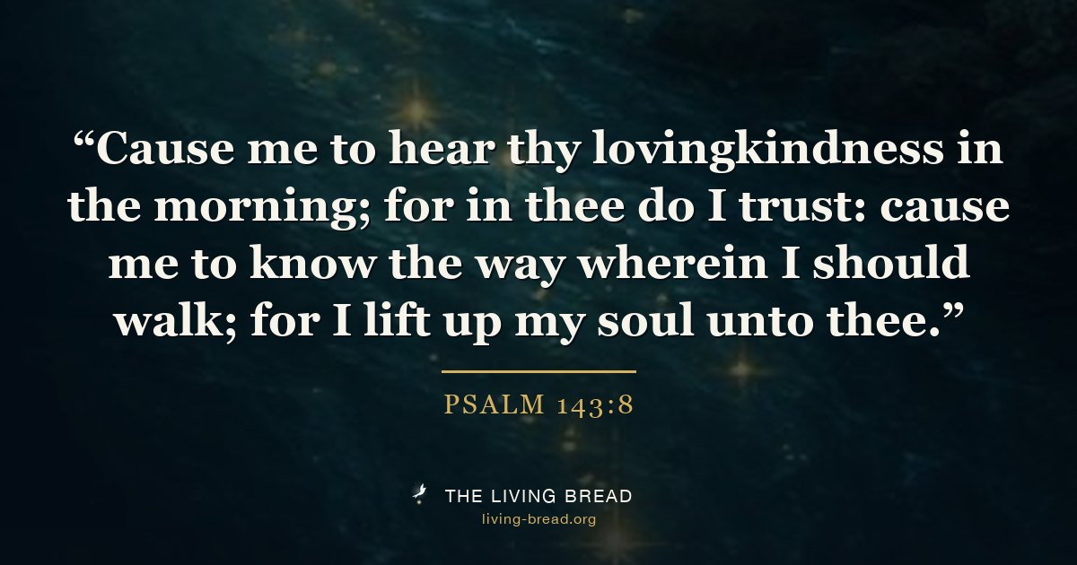 Psalm 143:8