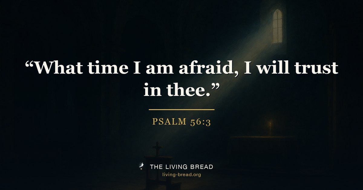 Psalm 56:3