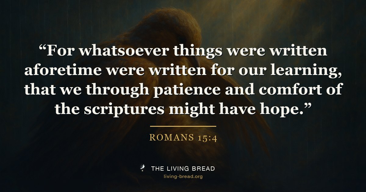 Romans 15:4