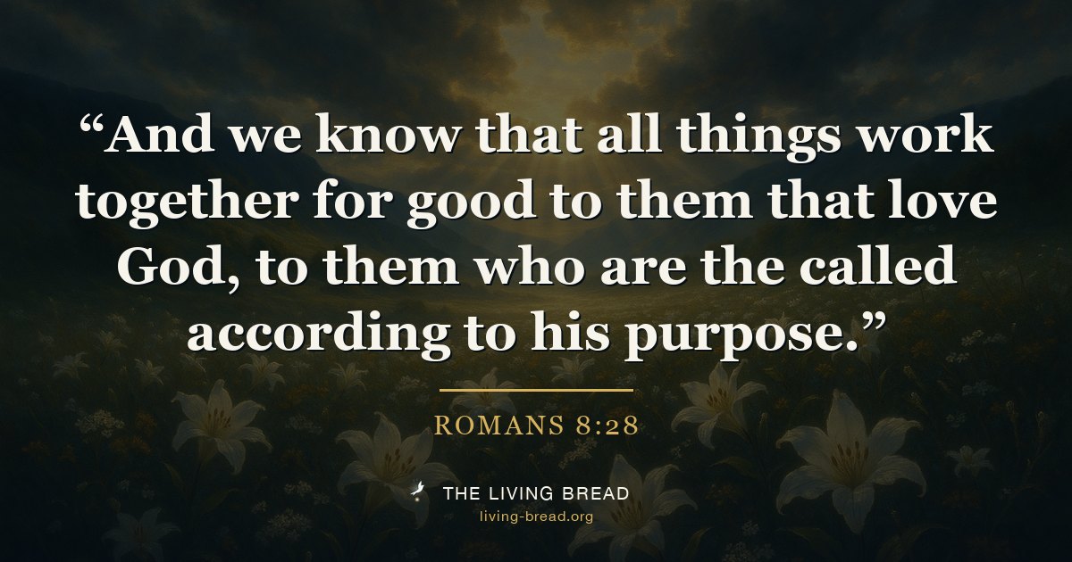 Romans 8:28