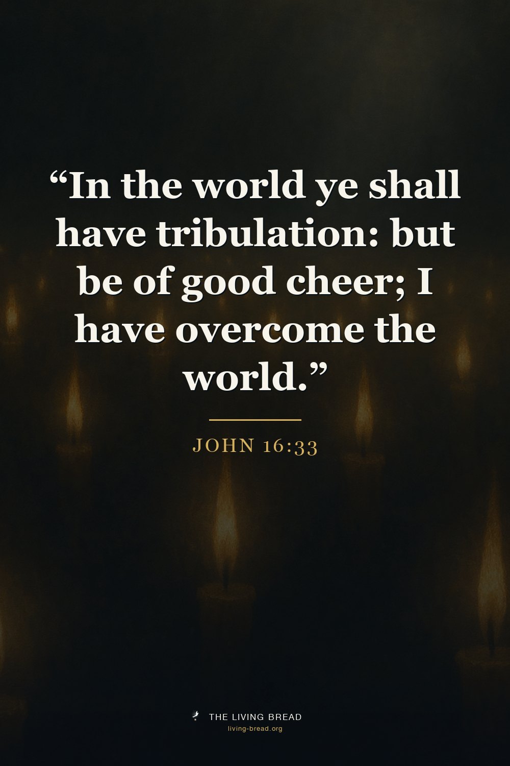 John 16:33