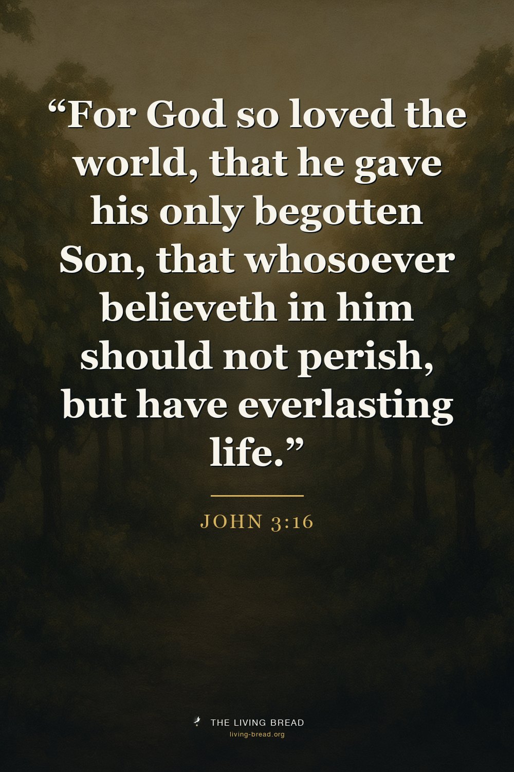 John 3:16