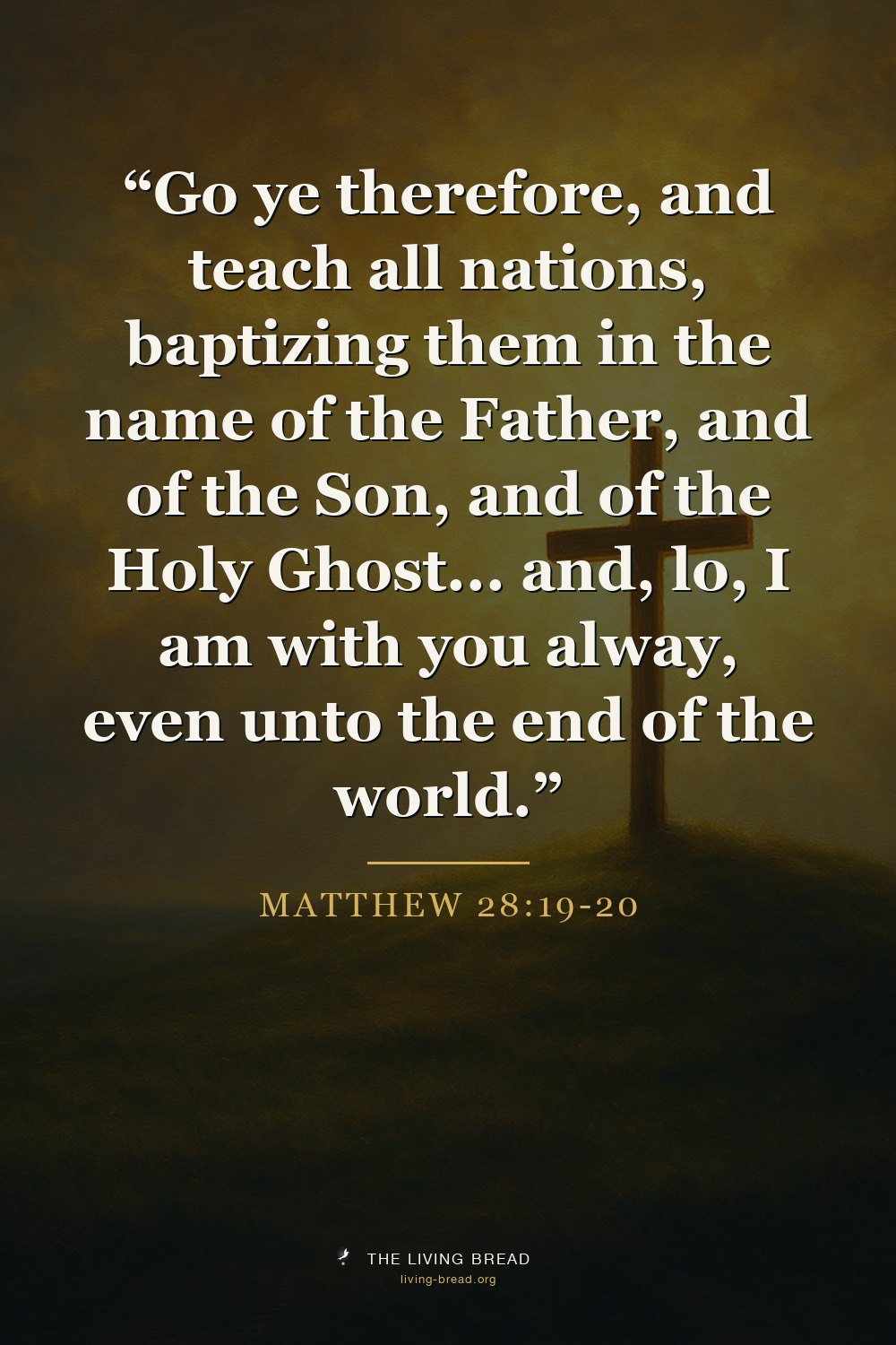 Matthew 28:19-20
