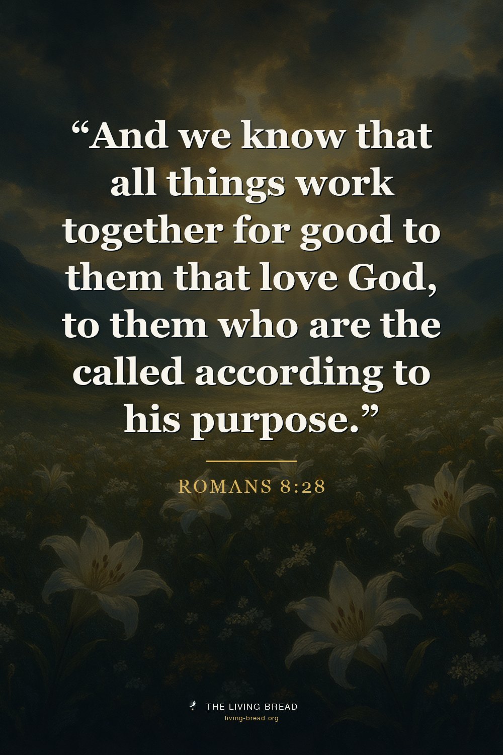 Romans 8:28